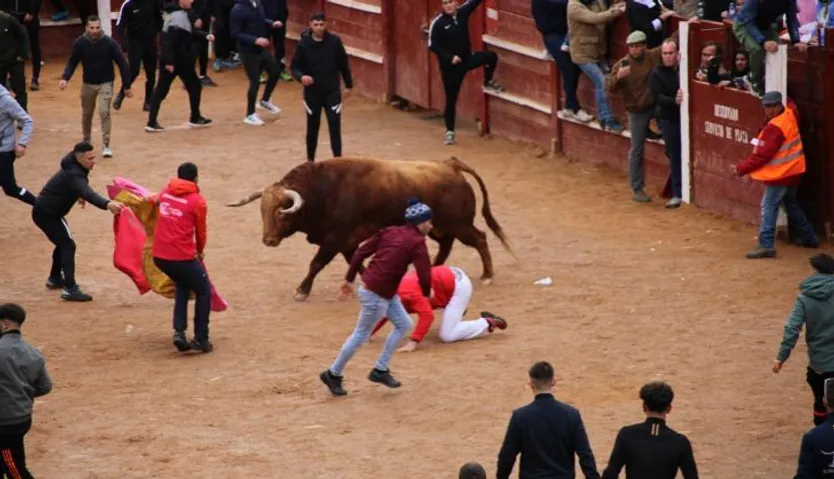 Cogida a un varón en el encierro de Antruejo