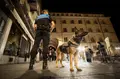 Operativo con los perros de la Policía Local en las Ferias y Fiestas 2026