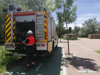 Extinguidos dos incendios de pasto en Pizarrales y en el paseo fluvial