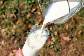 Leche gratis este viernes en Valladolid para defender el sector lácteo