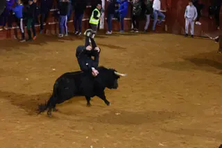 Dos toros de Brazuelas para el arranque del martes, el último día del Carnaval del Toro | Mateo G.J.