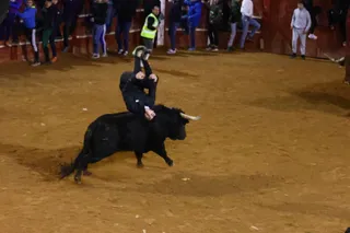 Dos toros de Brazuelas para el arranque del martes, el último día del Carnaval del Toro | Mateo G.J.