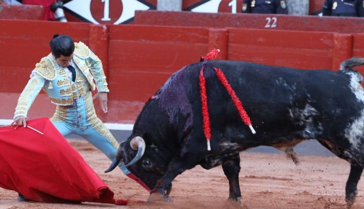 Diego San Román doblandose con el quinto