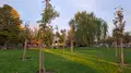 Plantacion árboles en la Chinchibarra