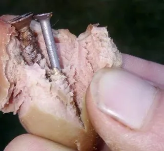 Salchichas tornillos carbajosa