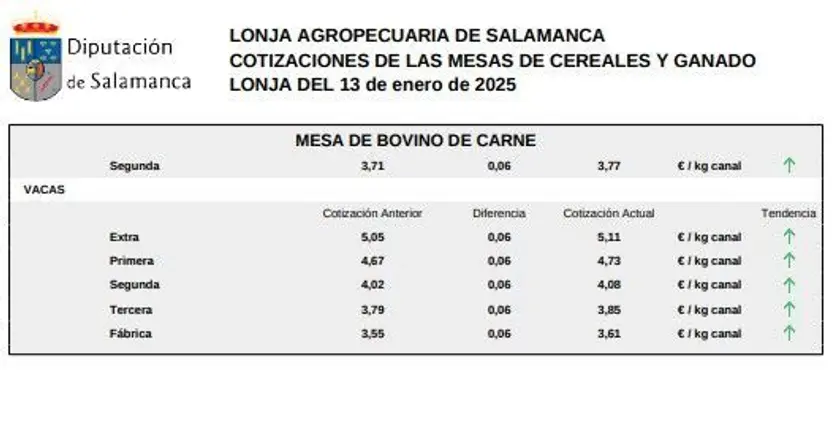 Mesa de bovino de carne lonja 13 de enero 2025 1