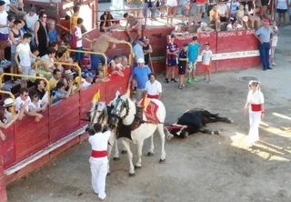 Cuatro orejas para David Salvador y dos para Alejandro Mora en Villarino