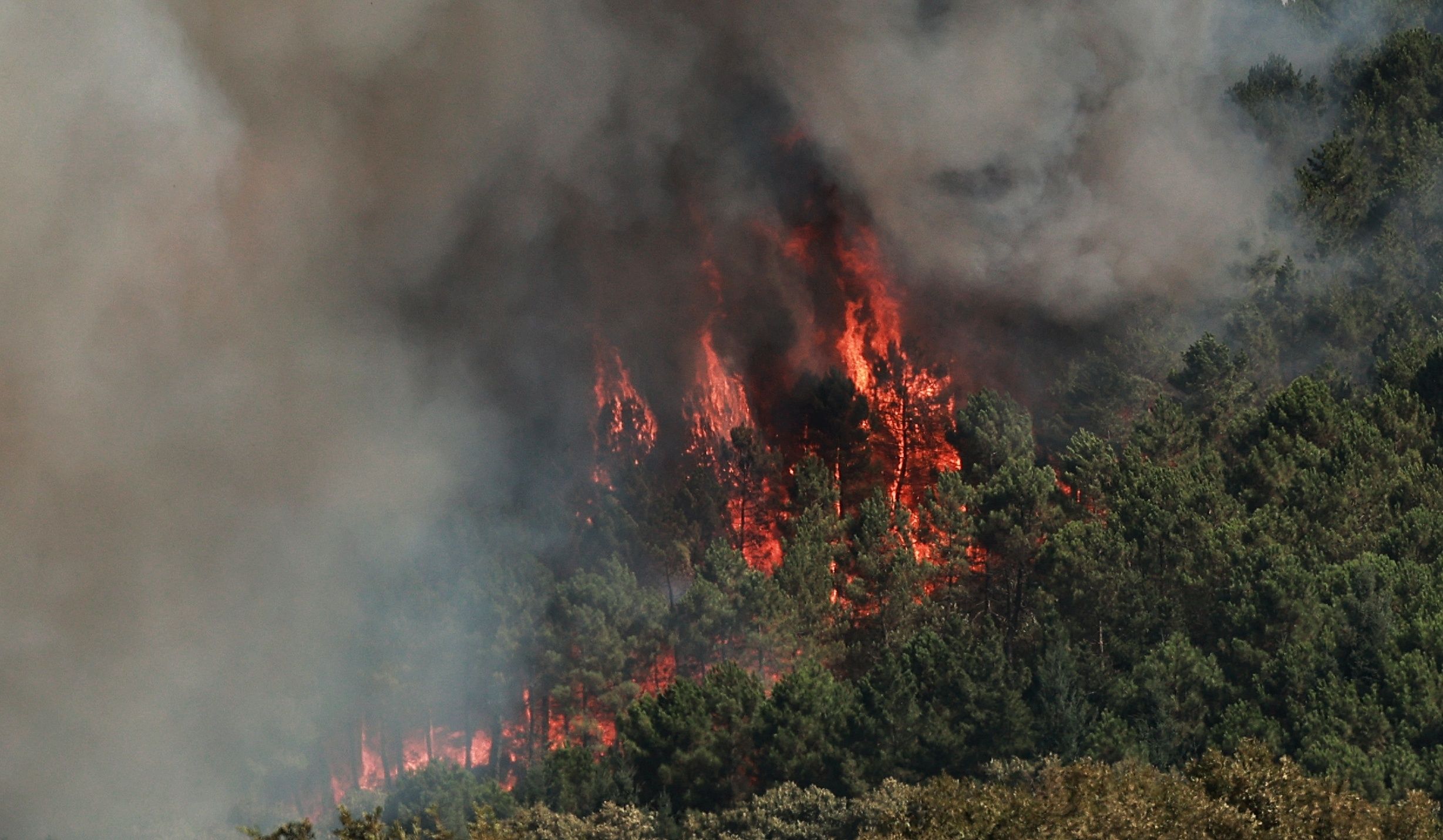 Incendio forestal en El Payo. Fotos ICAL Jose Vicente (14).jpg