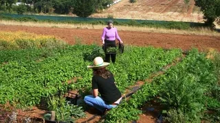 180220mujeresagricultura tcm7 480175 noticia