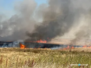 Incendio cereales Villamayor Las Canteras pastos (5)