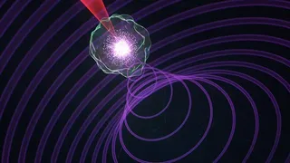 NORM Murnane Dorney SCIENCE LightTorque hr