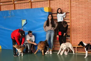 Carbajosa, Taller Adiestramiento Canino (4)