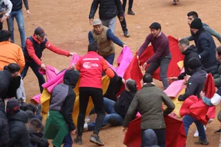 Capea de domingo en el Carnaval del Toro 2026 de Ciudad Rodrigo | Mateo G.J.