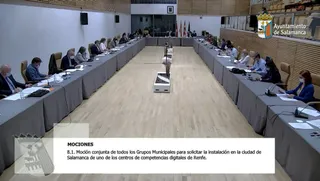 PLENO MUNICIPAL RENFE 1