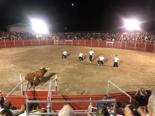 Concurso de cortes y saltos en Villarino (1)
