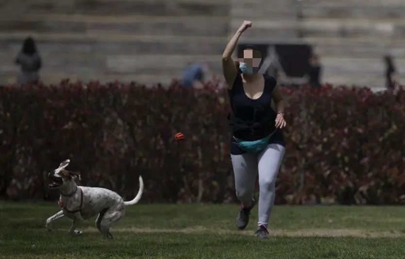 Una mujer jugando con su perro