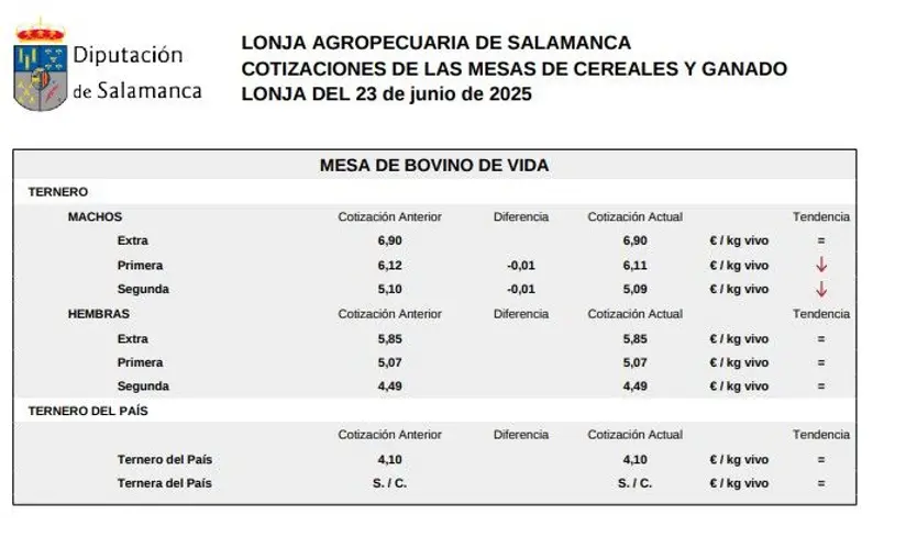 Mesa de bovino de vida lonja 23 junio 25