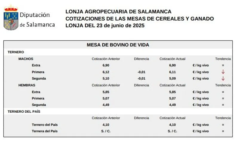 Mesa de bovino de vida lonja 23 junio 25