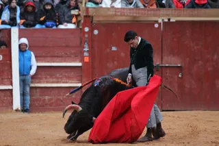 Un rompedor Talavante junto con el valor y la cabeza de Raquel Martín, protagonizan lo mejor del festival en Ciudad Rodrigo