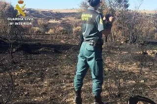 Investigado un vecino de la zona como presunto autor del incendio de Pino del Oro