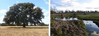 Jornadas sobre la compatibilidad entre aprovechamiento económico y conservación de la naturaleza