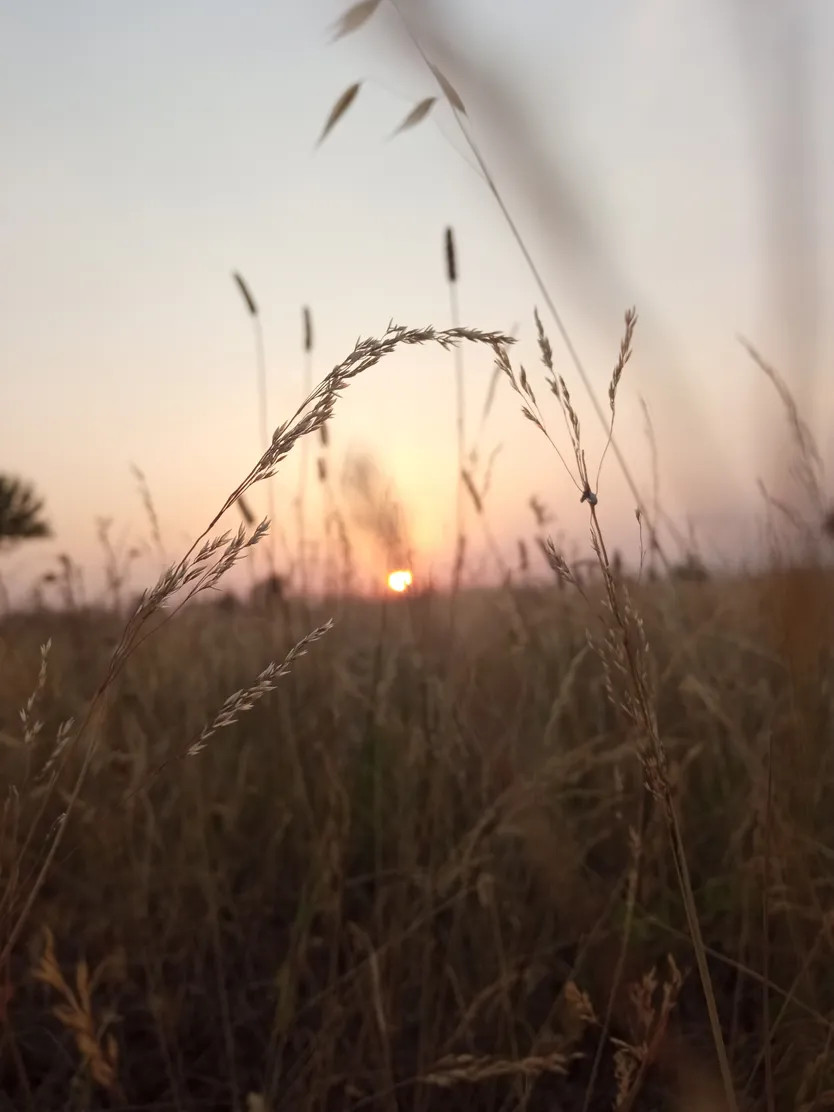 Atardecer. Mónica Fernández. Ganadora Infantil