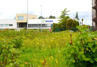 Fachada Enusa