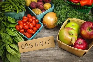 El Parlamento Europeo organiza en Granada un foro sobre producción y alimentación ecológica. Foto de archivo