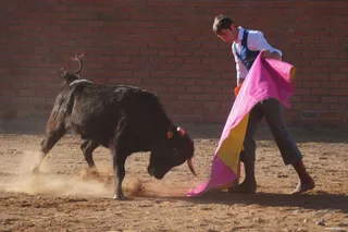 Tentadero celebrado en la Ganadería salmantina de Valdefresno