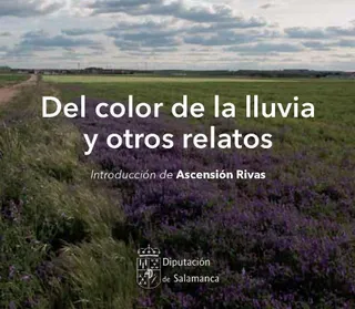 Libro Color de la lluvia A. Salgado