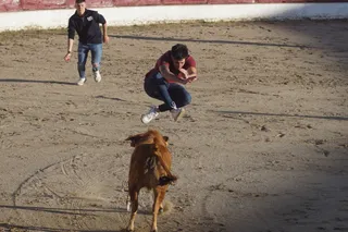 Certamen Rosquilla de Oro y capea en Ledesma 2024. Fotos Juanes (2)