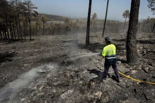 Superficie del fuego arrasada en El Maillo José Vicente (ICAL) (12)