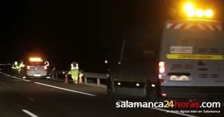 Dos jabalíes provocan sendos accidentes de tráfico en Espadaña y Narros de Matalayegua