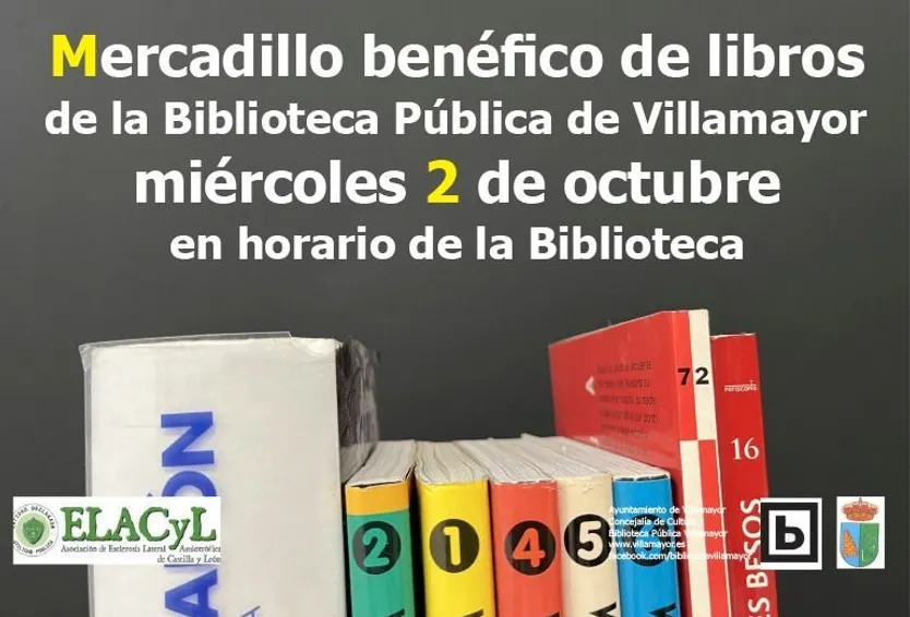 Mercadillo benéfico biblioteca Villamayor