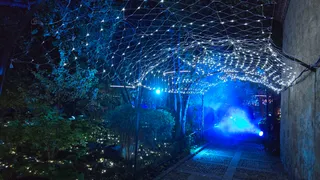 Pase para gráficos del ‘Jardín mágico del Huerto de Calixto y Melibea’