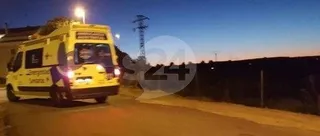 Un herido grave al colisionar su coche con una vaca en Valdelosa