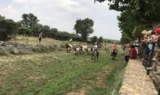 Corpus Sancti Spiritus 2017: Encierro