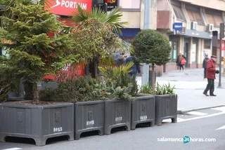 Maceteros y vallas para Cabalgata de Reyes 2020 (4)