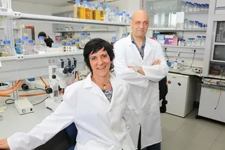 Buscan dianas moleculares para combatir la esterilidad asociada a la diabetes