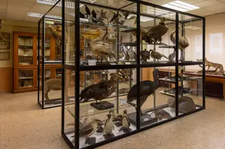 Museo Fray Luis de León. ICAL