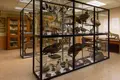 Museo Fray Luis de León. ICAL
