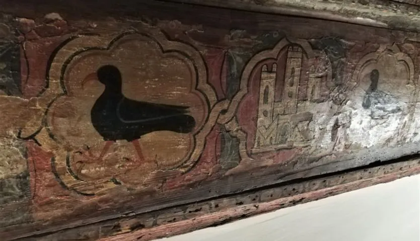 Chova Piquirroja del convento de Las Claras en Salamanca