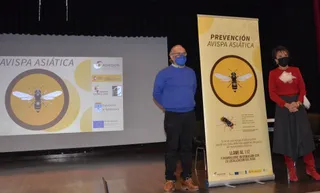 Vitigudino