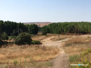 Huerta Otea El Marín