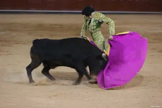 JOTA0267