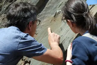 Nuevos descubrimientos en Siega Verde | Fotos: Fundación Siega Verde