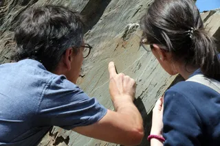 Nuevos descubrimientos en Siega Verde | Fotos: Fundación Siega Verde