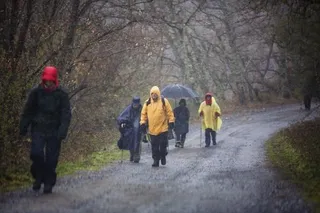 Lluvias, tormentas y vientos