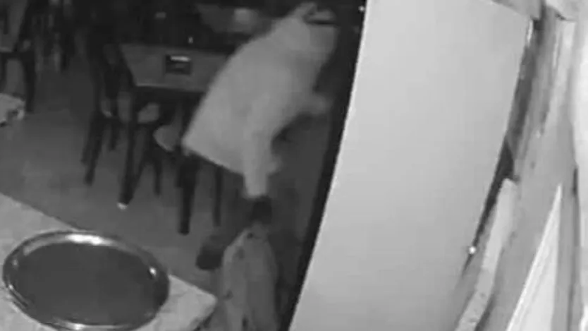 Ladrón robando en la Fuente de San Esteban