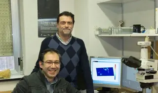 Científicos de la USAL aclaran la relación entre gases de efecto invernadero y el clima